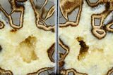 Crystal Filled Septarian Geode Bookends - Utah #184585-1